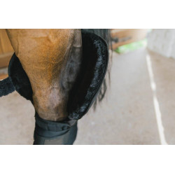 Onderstal- en Transportbandage met Bescherming voor de Sprong Kentucky Onderstal- en Transportbandage met Bescherming voor de Sprong Kentucky