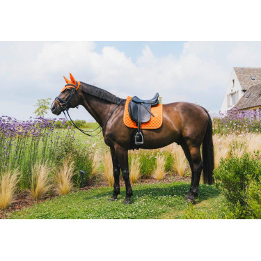 Tapis de selle Kentucky Diamond Rope Dressage Tapis de selle Kentucky Diamond Rope Dressage
