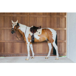 Tapis de selle Kentucky Wave Jumping Beige