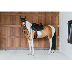 Tapis de selle Kentucky Wave Jumping Vert sapin Tapis de selle Kentucky Wave Jumping Vert sapin