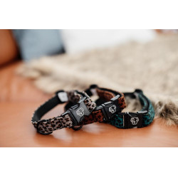 Collier pour chien Léopard Kentucky Marron léopard