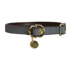 Collier pour chien Loop Kentucky Gris Collier pour chien Loop Kentucky Gris