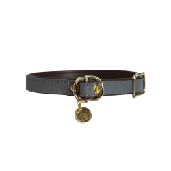 Halsband voor hond Loop Kentucky Grijs