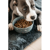 Hondenvoerbak Bamboo Terrazzo Kentucky Grijs