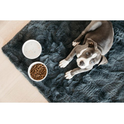 Hondenvoerbak Bamboo Terrazzo Kentucky