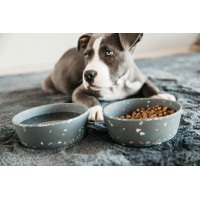 Gamelle pour chien Bamboo Terrazzo Kentucky Gris