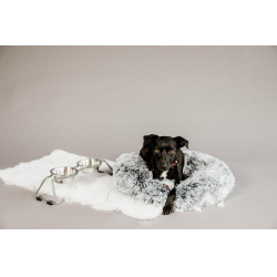 Gamelle pour chien Confort Kentucky Vert poudreux