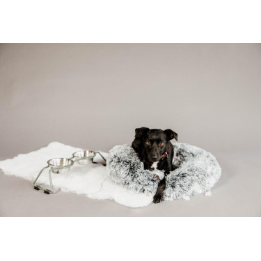 Gamelle pour chien Confort Kentucky Gamelle pour chien Confort Kentucky