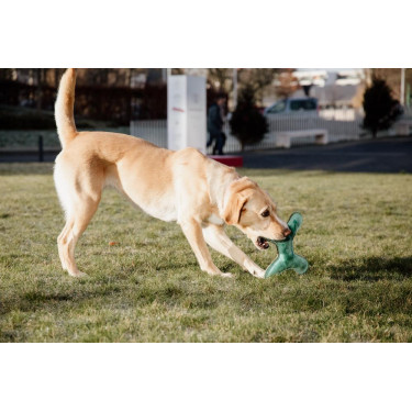 Jouet pour chien Pastel Bone Kentucky Emeraude Vert Jouet pour chien Pastel Bone Kentucky Emeraude Vert