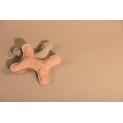 Speelgoed voor honden Pastel Bone Kentucky Perzik Roze