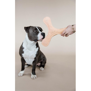Jouet pour chien Pastel Boomerang Kentucky Pêche Rose Jouet pour chien Pastel Boomerang Kentucky Pêche Rose