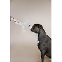 Jouet pour chien Pastel Boomerang Kentucky Crème Beige Jouet pour chien Pastel Boomerang Kentucky Crème Beige