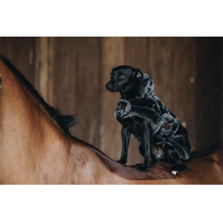 Manteau pour chien Fausse Fourrure Kentucky Gris