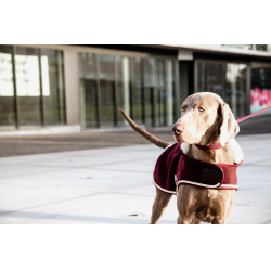 Hondenjas Heavy Fleece Kentucky Bordeaux