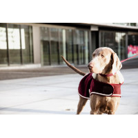 Manteau pour chien Heavy Fleece Kentucky Bordeaux