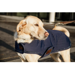 Manteau pour chien Pearls Kentucky Marine Bleu marine