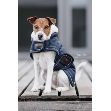 Manteau pour chien Pearls Kentucky Marine Bleu marine