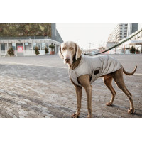 Manteau pour chien Kentucky réfléchissant & déperlant avec protection ventrale Argent Manteau pour chien Kentucky réfléchissant & déperlant avec protection ventrale Argent