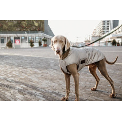 Manteau pour chien Kentucky réfléchissant & déperlant avec protection ventrale Argent Manteau pour chien Kentucky réfléchissant & déperlant avec protection ventrale Argent