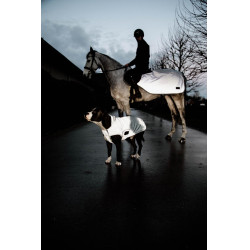Manteau pour chien Kentucky réfléchissant & déperlant avec protection ventrale Argent Manteau pour chien Kentucky réfléchissant & déperlant avec protection ventrale Argent