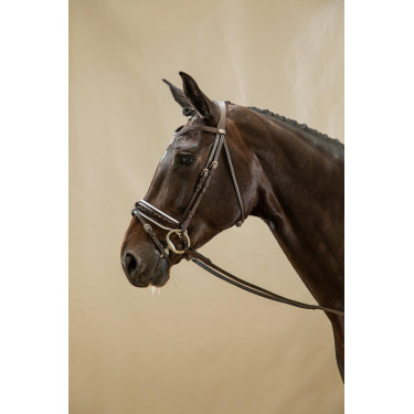 Bridon Working by Dy'on Muserolle Combinée Large Vernie Doublure Blanche Brun Marron