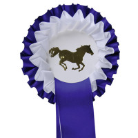 Flot 2 HKM Bleu / blanc