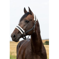 Licol Howard Crescendo Horze Noir