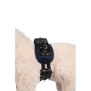 Set de longe Cuddle Pony HKM Noir