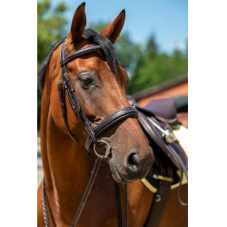 Bridon Hunter 2 HKM Marron foncé Bridon Hunter 2 HKM Marron foncé