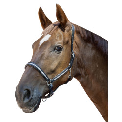 Licol en cuir Diamond HKM Noir Licol en cuir Diamond HKM Noir