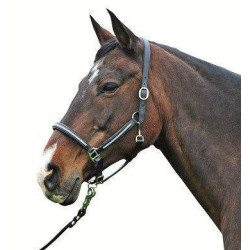 Licol en cuir Diamond HKM Noir Licol en cuir Diamond HKM Noir