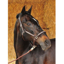 Licol en cuir Diamond HKM Noir Licol en cuir Diamond HKM Noir