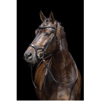 Bridon Anatomic Sports HKM Marron Bridon Anatomic Sports HKM Marron