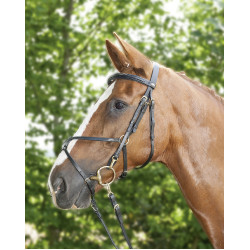 Versterkte Mexicaanse stijl hoofdstel, schaap HKM Zwart Versterkte Mexicaanse stijl hoofdstel, schaap HKM Zwart