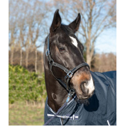 Licol en cuir HKM Soft Noir