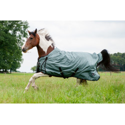 Couverture d'extérieur High Comfort Style 100g HKM 600D Sauge Violet Couverture d'extérieur High Comfort Style 100g HKM 600D Sauge Violet