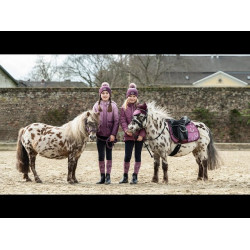 Licol Alva HKM Lilas Bleu Licol Alva HKM Lilas Bleu