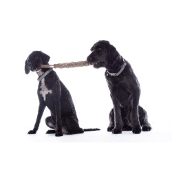 Jouet pour chien Buddy Knot Bone HKM Naturel Marron