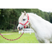 Longe Aymee avec mousqueton HKM Rouge Longe Aymee avec mousqueton HKM Rouge