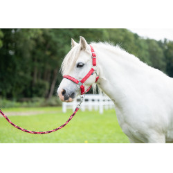 Longe Aymee avec mousqueton HKM Rouge