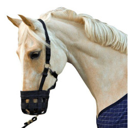 Licol muselière HKM Noir