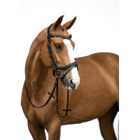 Bridon Anatomic HKM Bruin