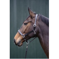 Lederen halster Economic HKM Bruin