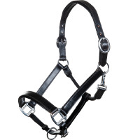 Licol en cuir Economic HKM Noir Licol en cuir Economic HKM Noir