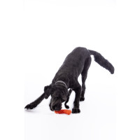 Jouet pour chien Buddy Bone III caoutchouc natu. HKM Orange Jouet pour chien Buddy Bone III caoutchouc natu. HKM Orange