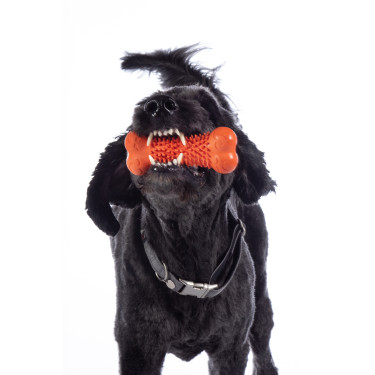 Hondenspeeltje Buddy Bone III natuurrubber. HKM Hondenspeeltje Buddy Bone III natuurrubber. HKM