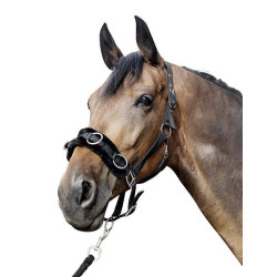 Filet caveçon HKM en nylon rembourré Filet caveçon HKM en nylon rembourré