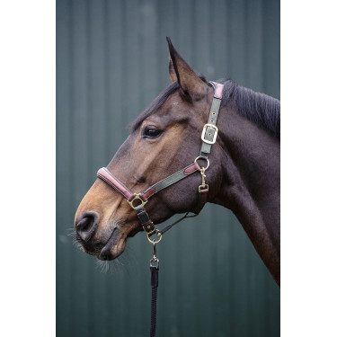 Halster Luna leer en nylon HKM Groen / bruin