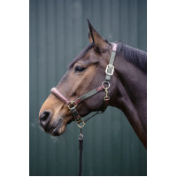 Licol Luna cuir et nylon HKM Bleu foncé / marron