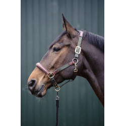 Licol Luna cuir et nylon HKM Vert / marron